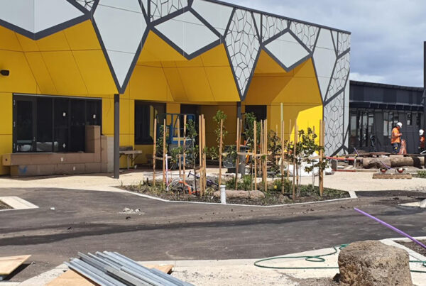 The colourful - Ecotone